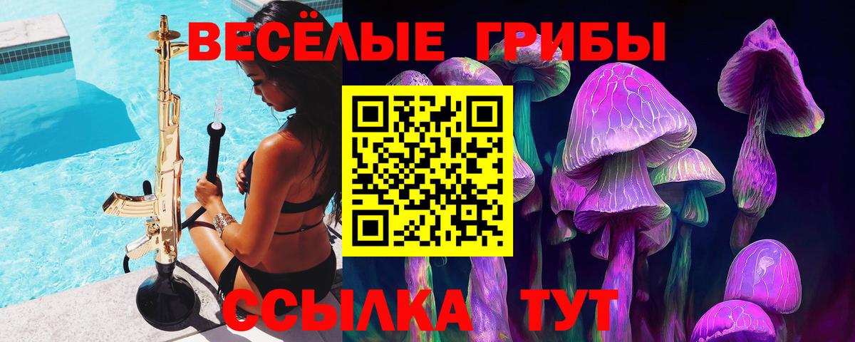 Галлюциногенные грибы MAGIC MUSHROOMS  Вход с VPN  Псилоцибиновые грибы ЛСД  Арзамас 