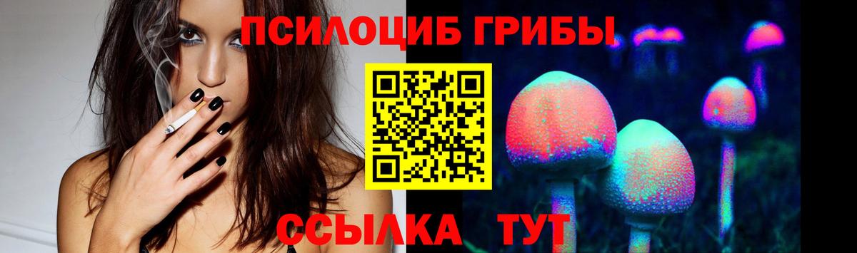 Галлюциногенные грибы Psilocybe Арзамас